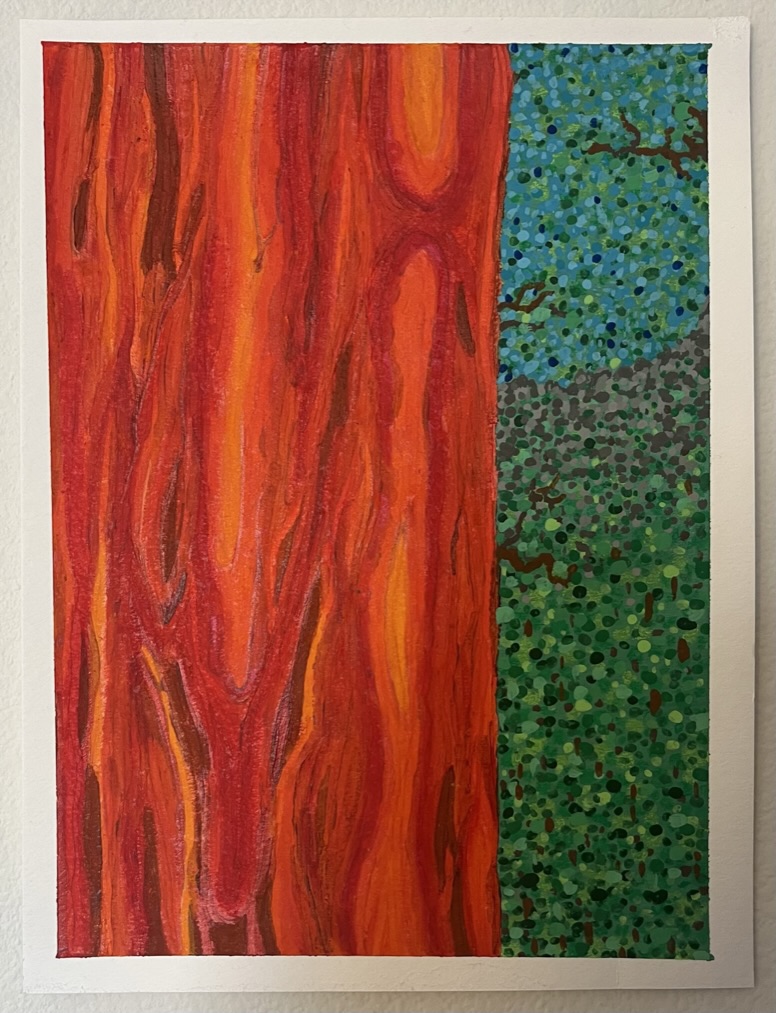 A painting of the bark of a Giant Sequoia that looks like fire.